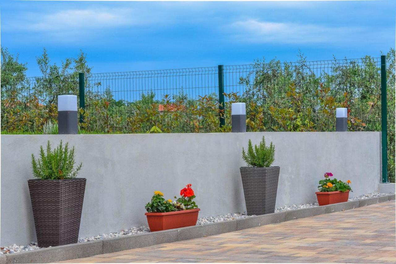 Apartment Kaplja Novigrad  Zewnętrze zdjęcie