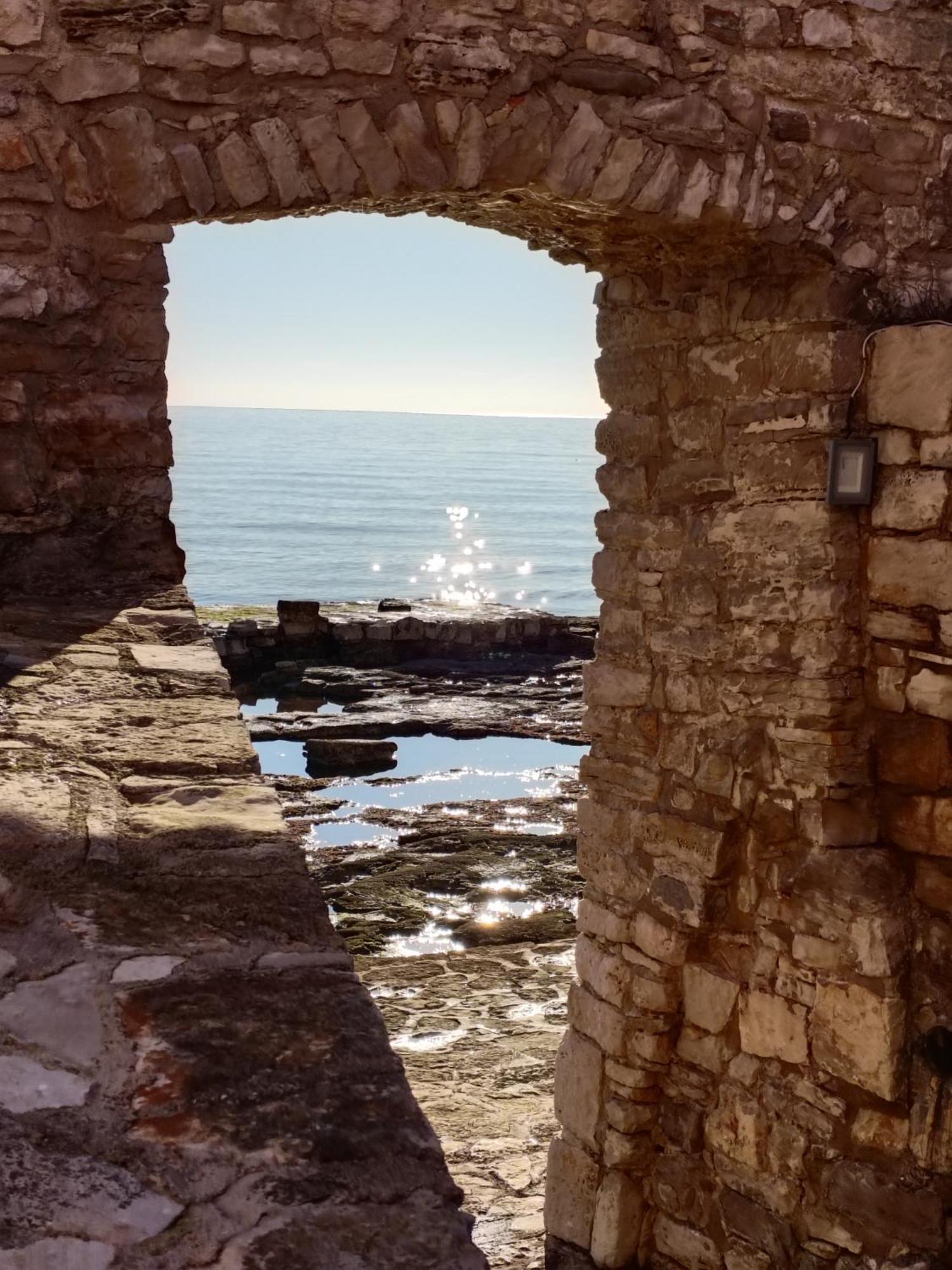 Apartment Kaplja Novigrad  Zewnętrze zdjęcie
